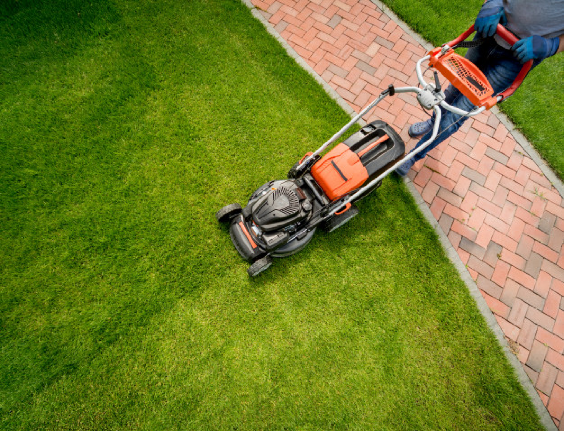 Choosing the Right Grass: A Guide to Grass Types and Ideal Mowing Practices with Green Lawns Solutions